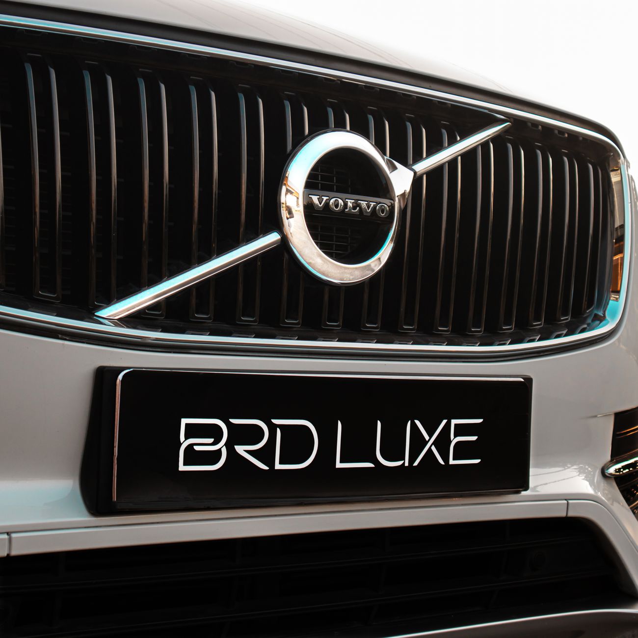 A car grille with its badge, close up
